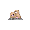 Dugtrio